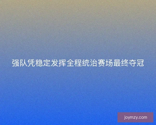 强队凭稳定发挥全程统治赛场最终夺冠